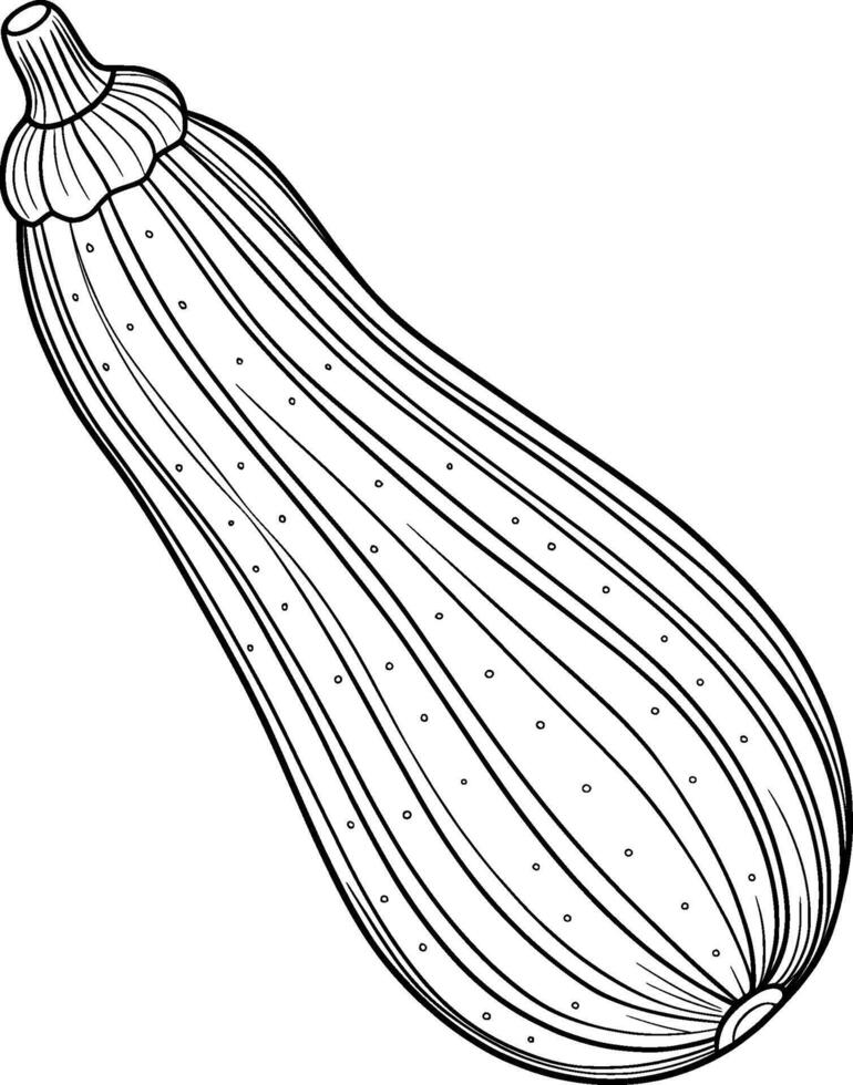 Coloring Page for Kids - Zucchini - Black and White Line Art vector