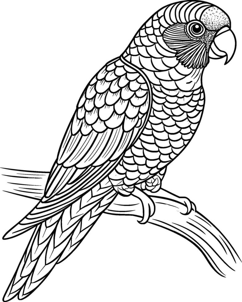 Coloring Page for Kids - Lorikeet - Black and White Line Art vector