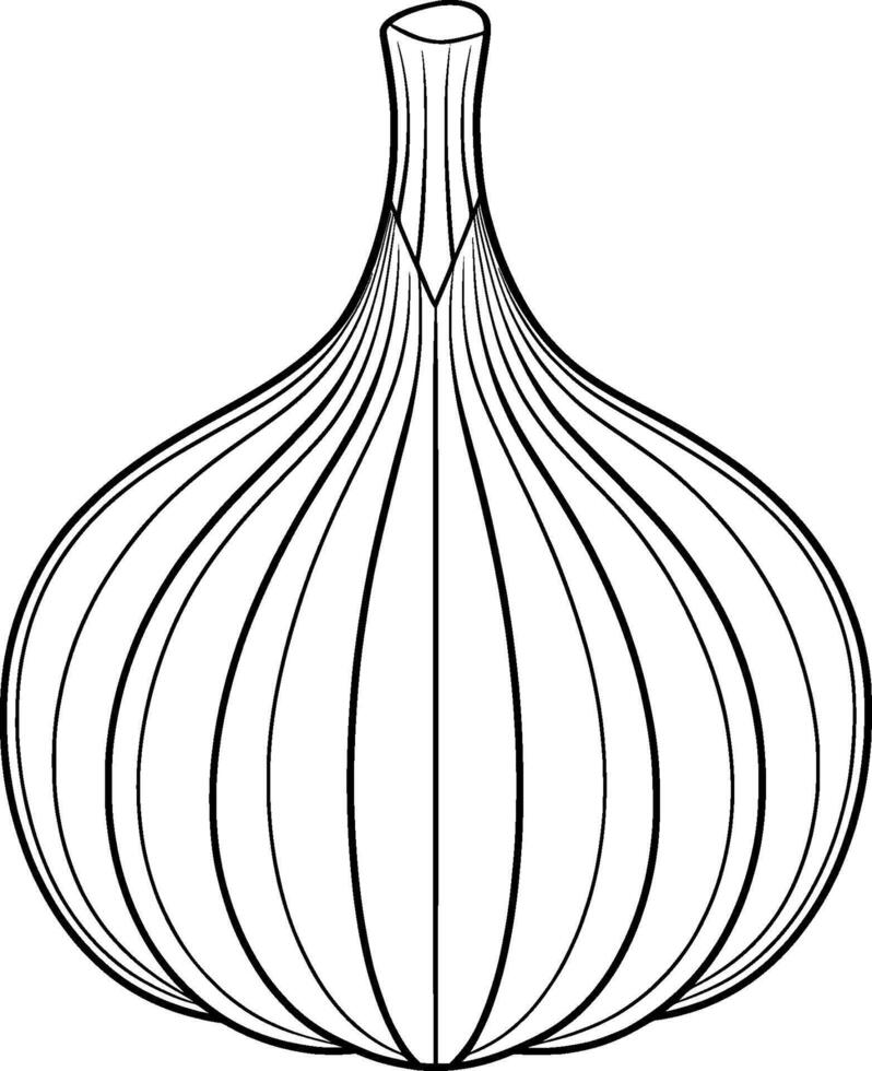 Coloring Page for Kids - Garlic - Black and White Line Art vector
