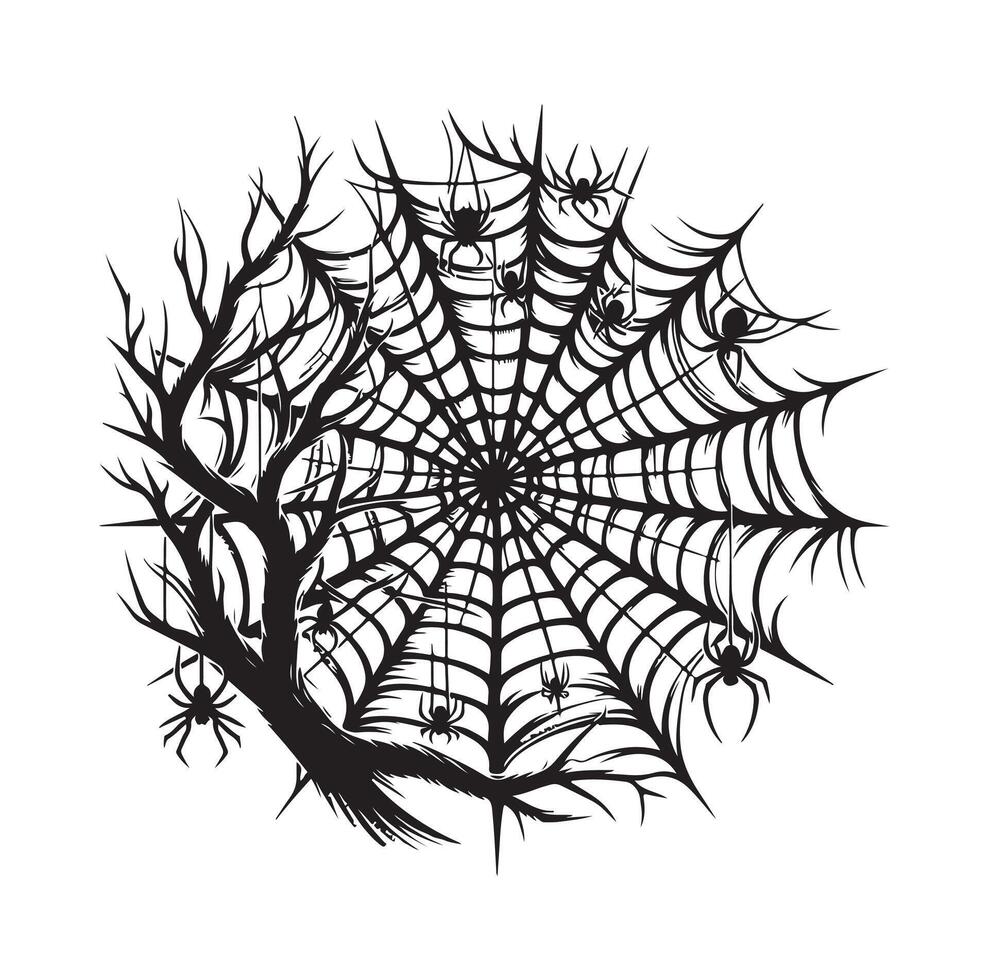 spider web illustration vector