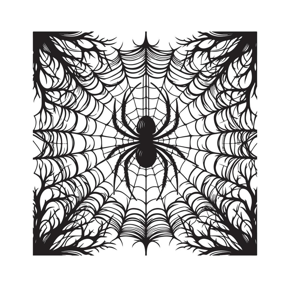 spider web illustration vector