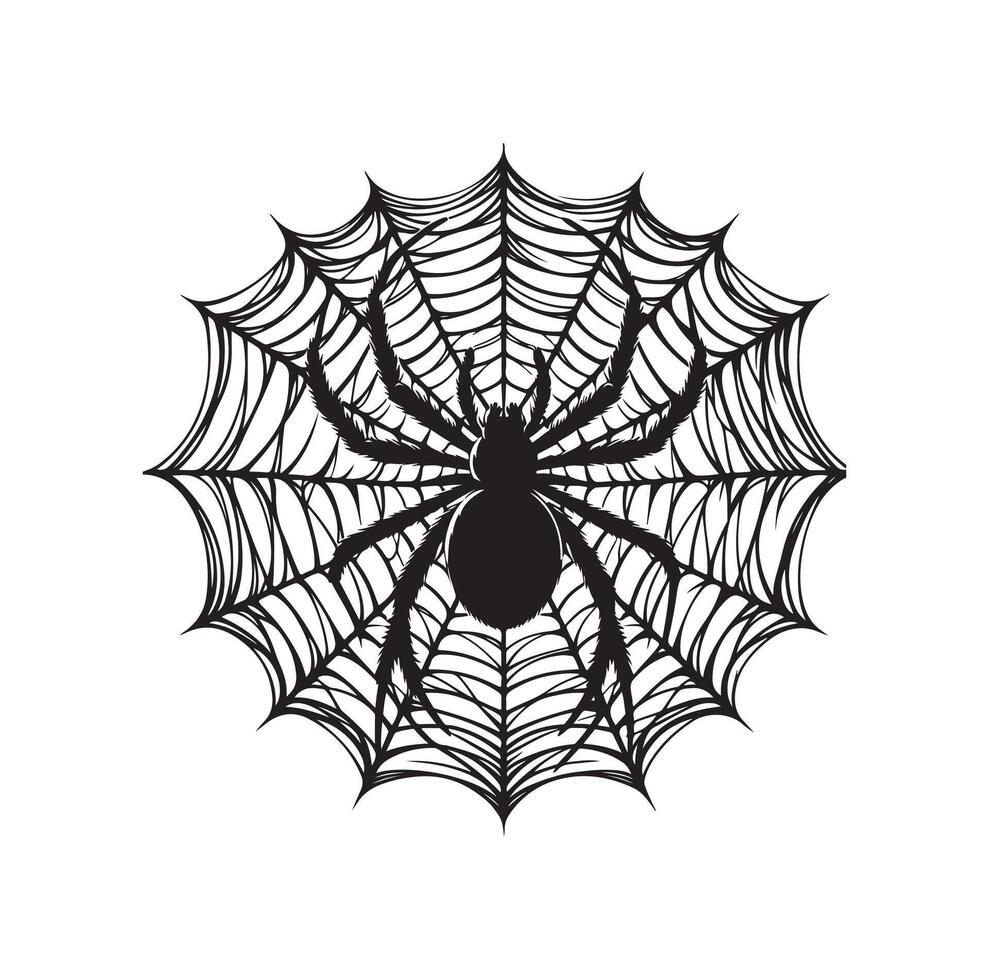 spider web illustration vector