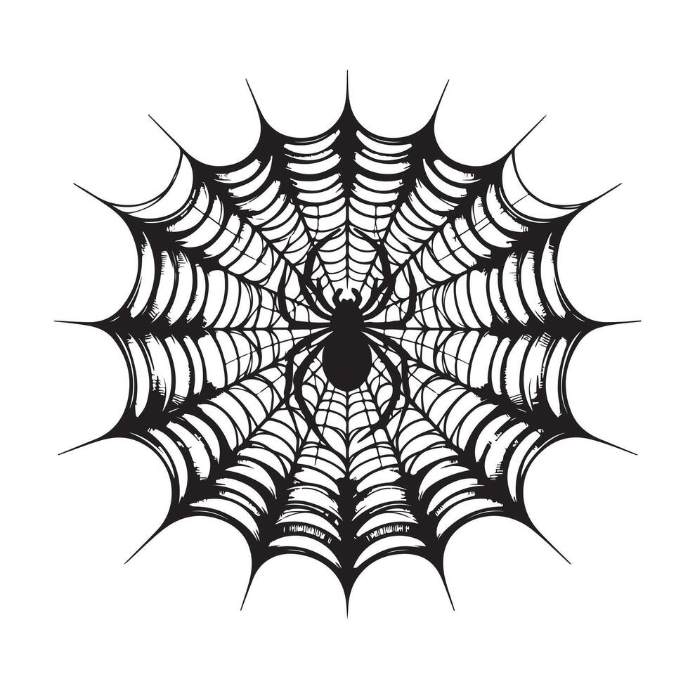 spider web illustration vector