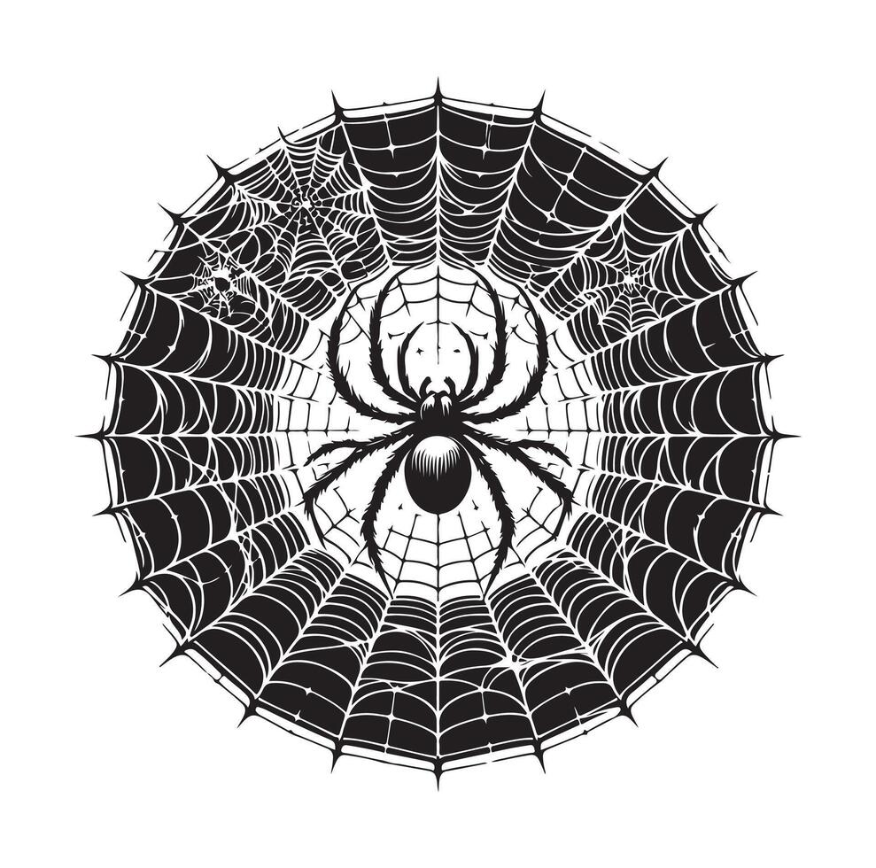 spider web illustration vector