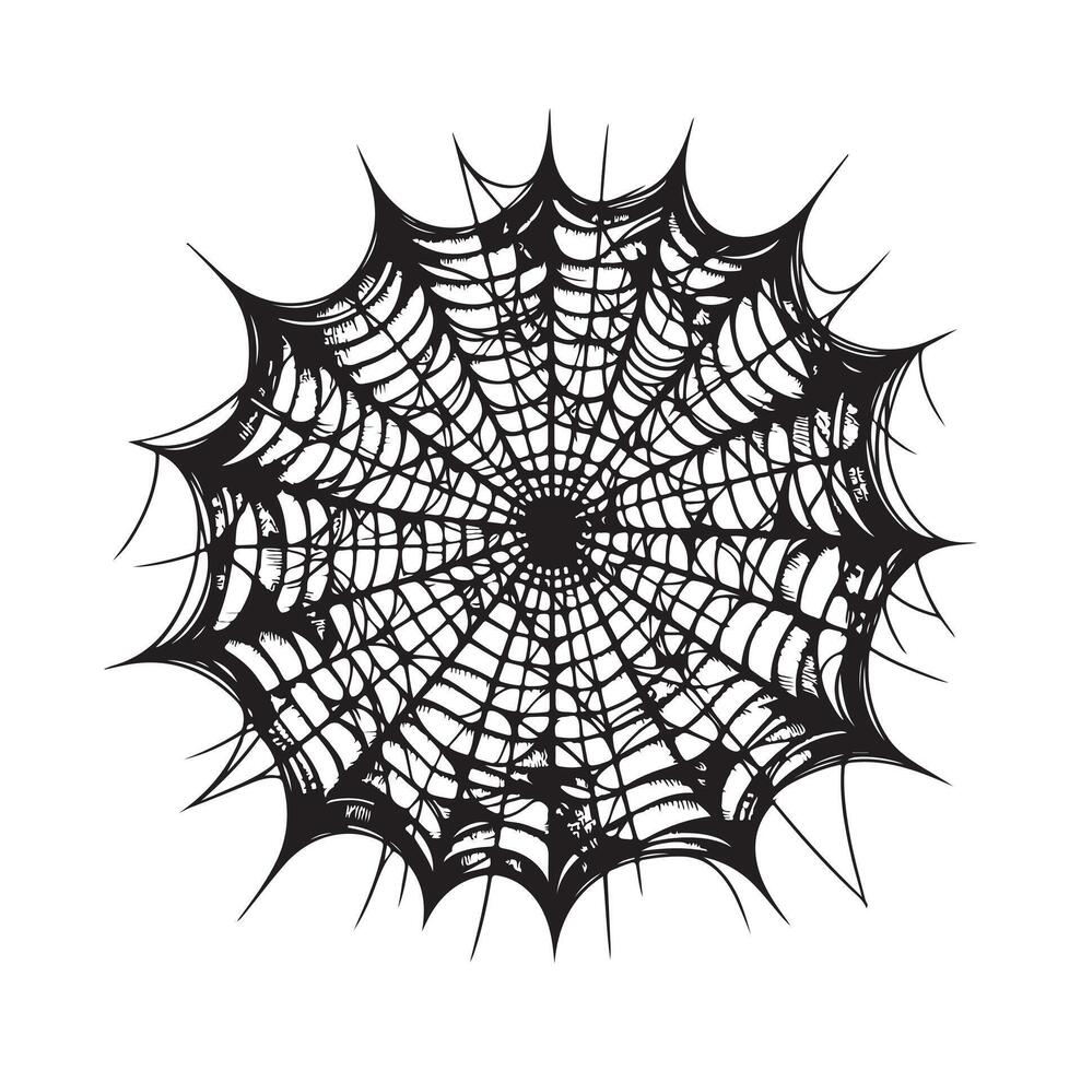 spider web illustration vector