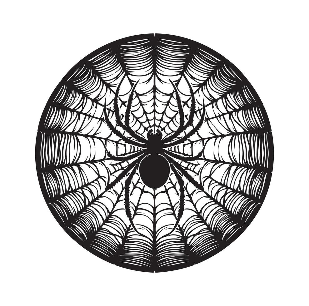 spider web illustration vector
