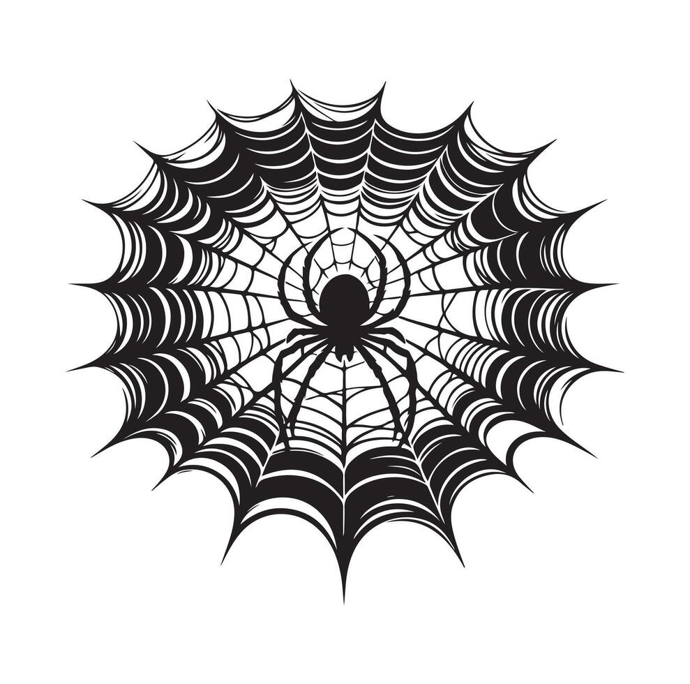 spider web illustration vector
