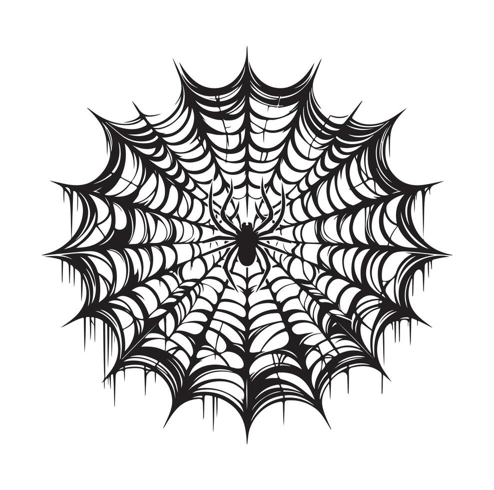 spider web illustration vector