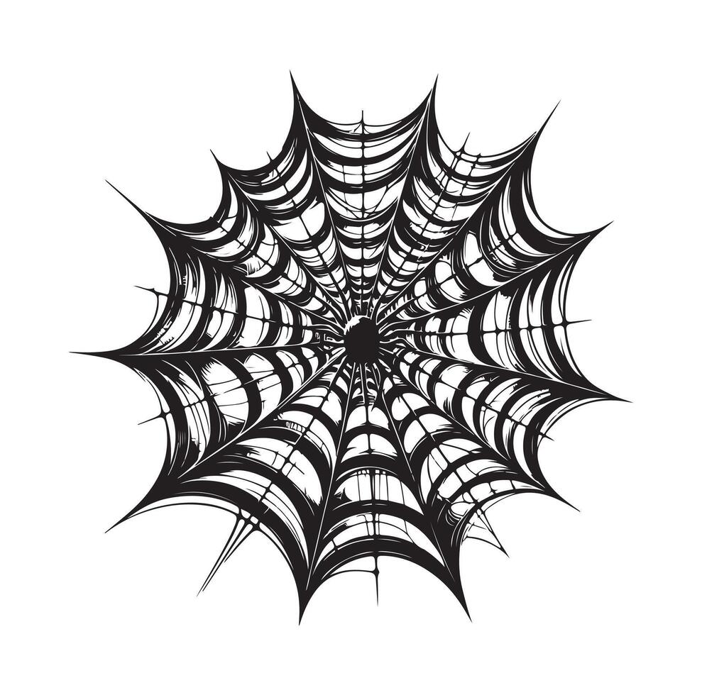 spider web illustration vector