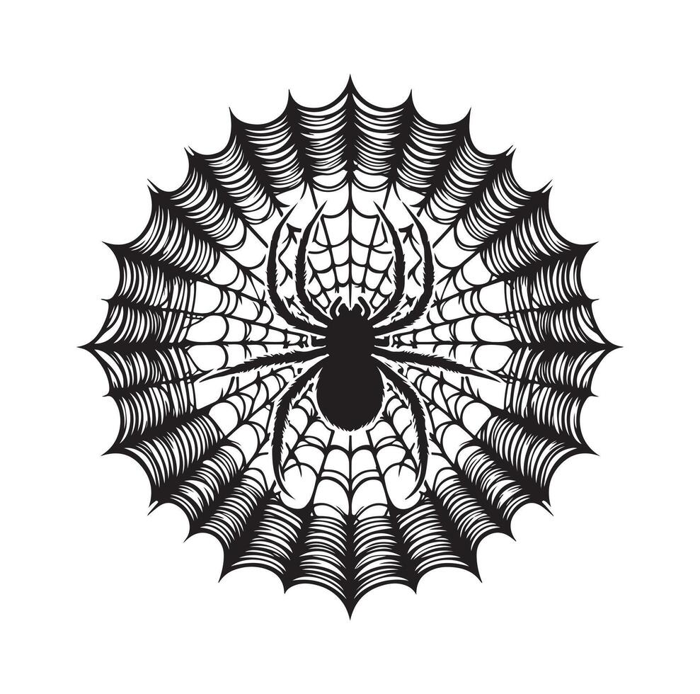 spider web illustration vector