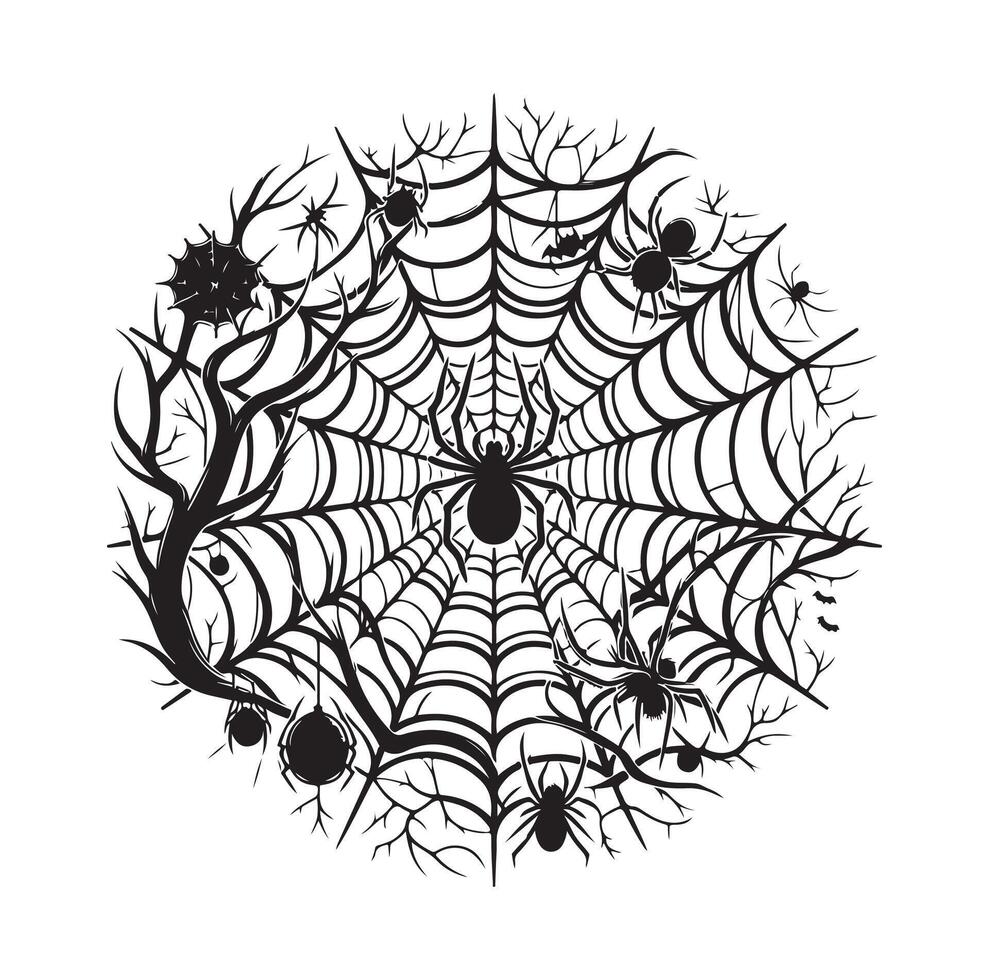 spider web illustration vector