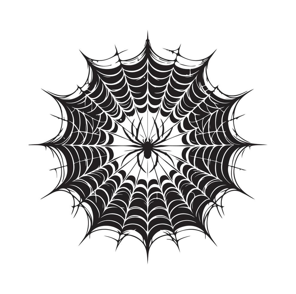 spider web illustration vector