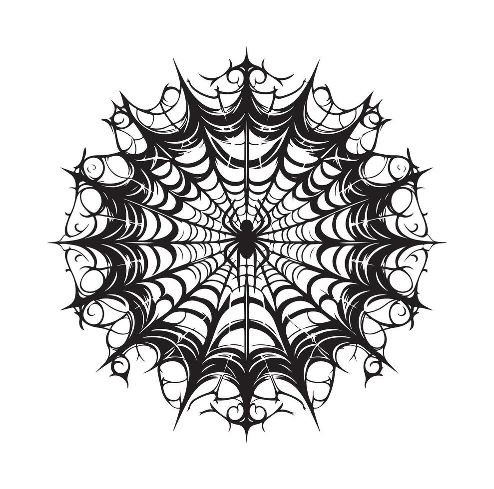 spider web illustration vector