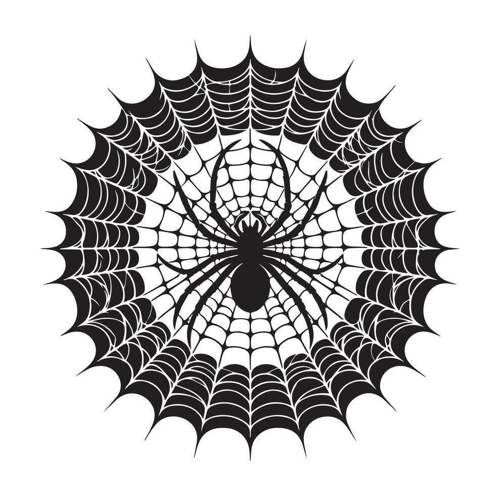 spider web illustration vector