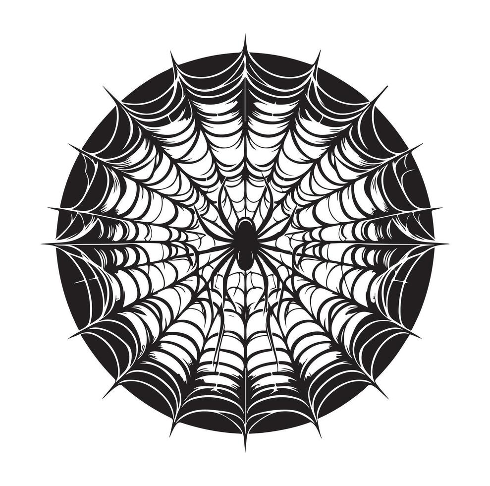 spider web illustration vector