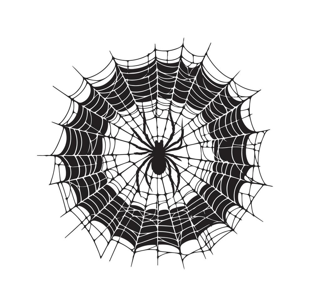 spider web illustration vector