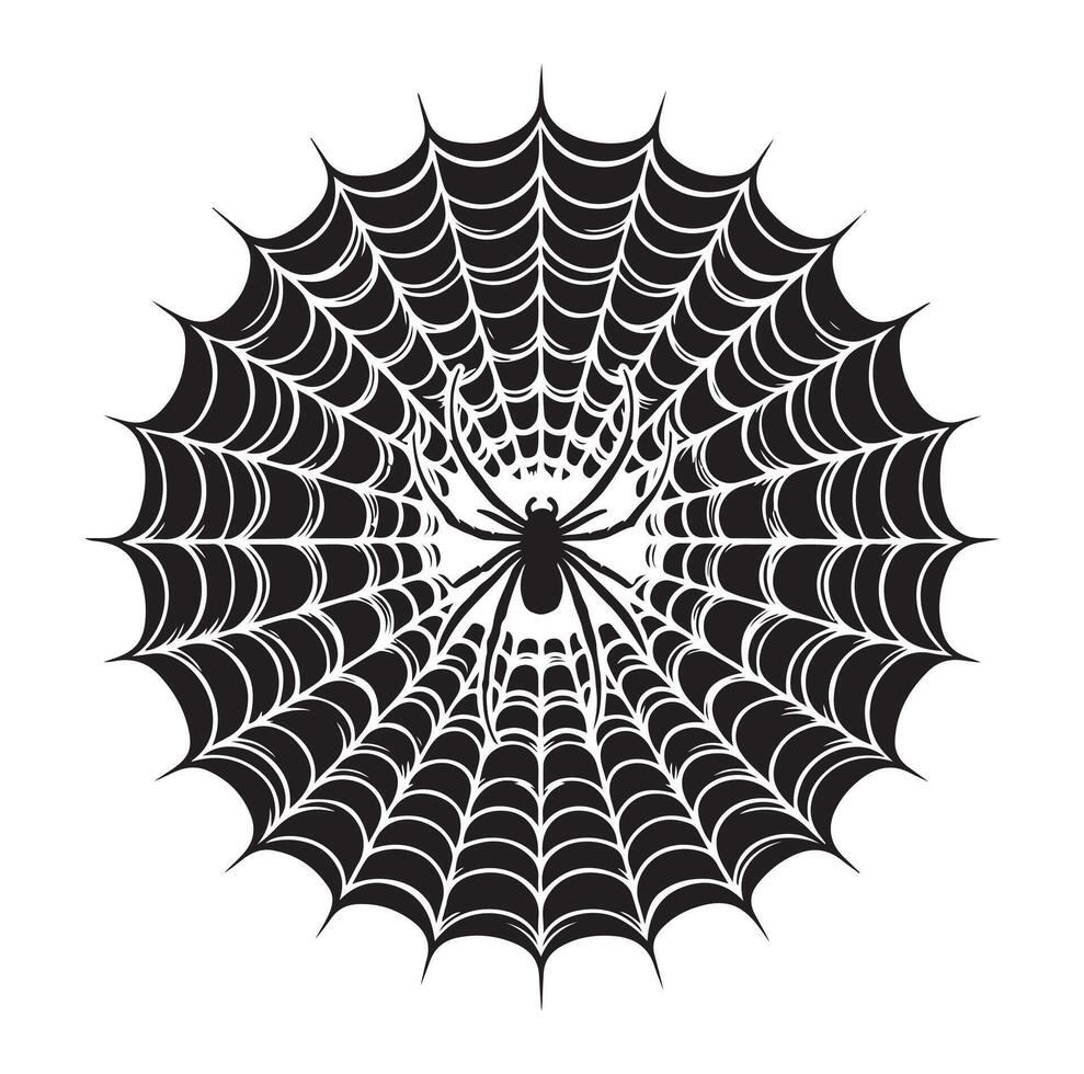 spider web illustration vector