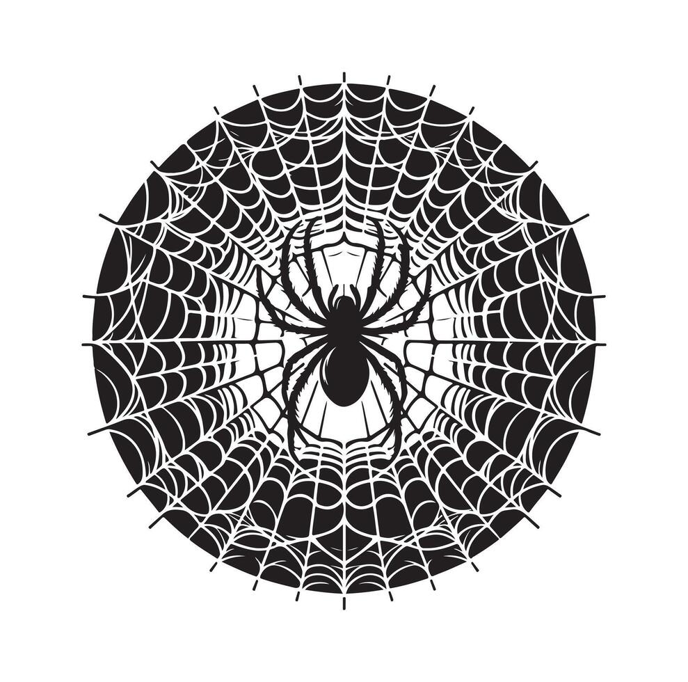 spider web illustration vector
