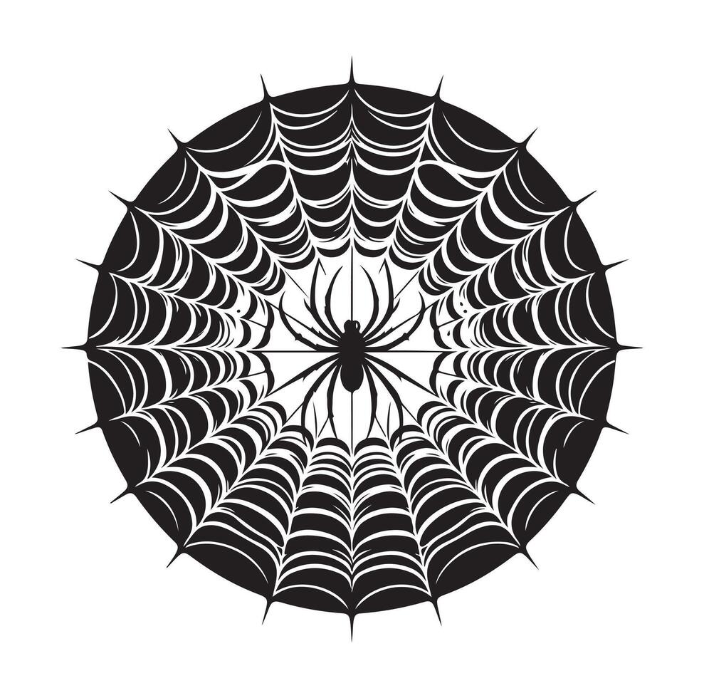 spider web illustration vector