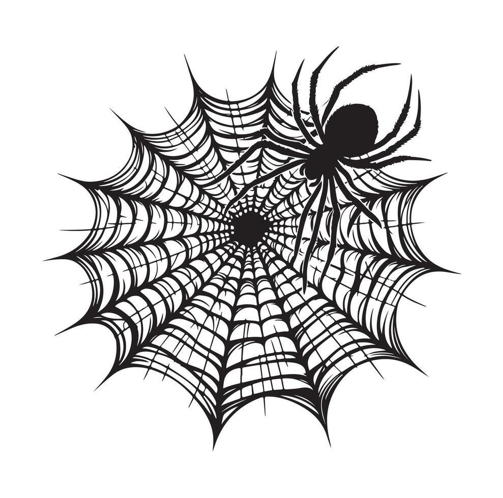 spider web illustration vector