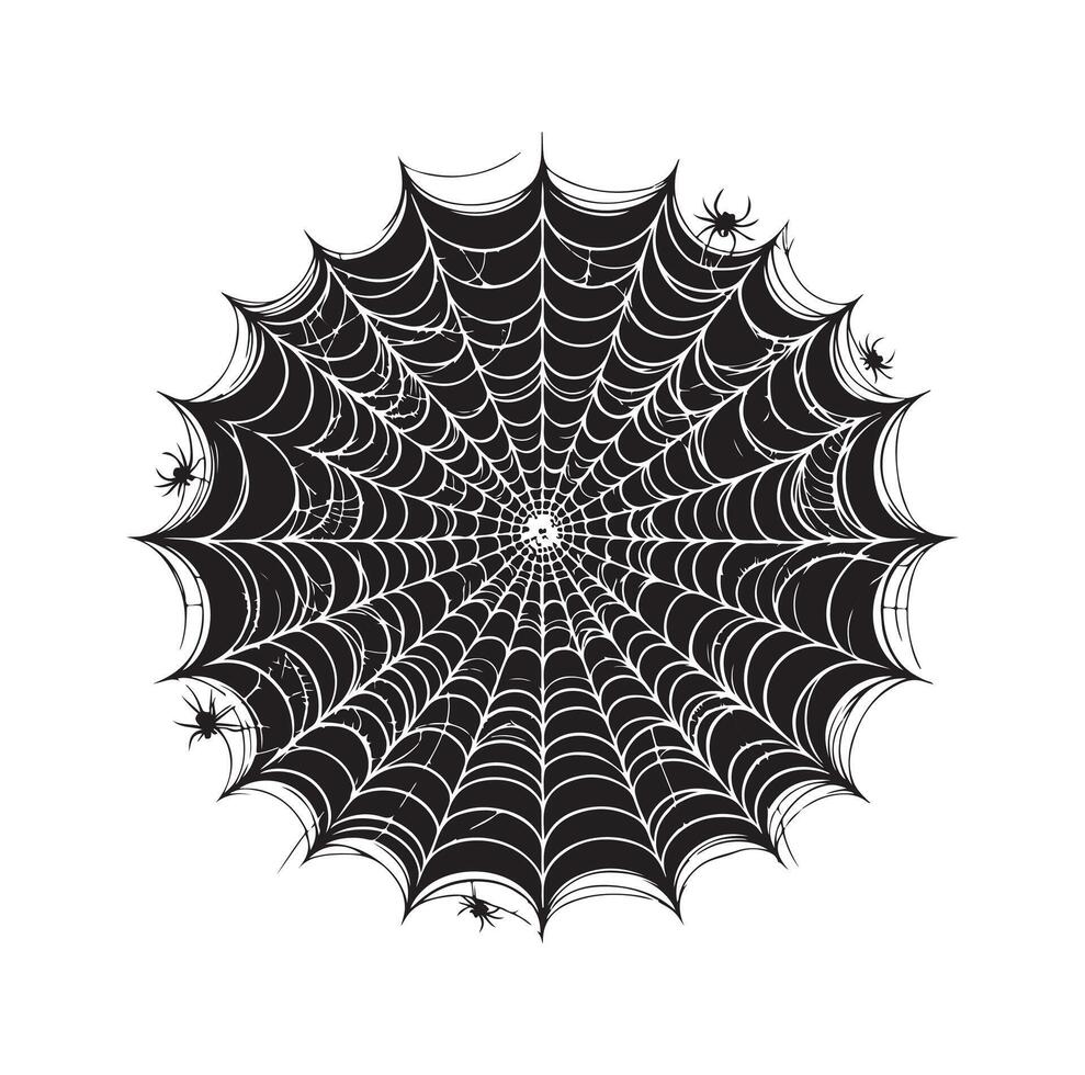 spider web illustration vector