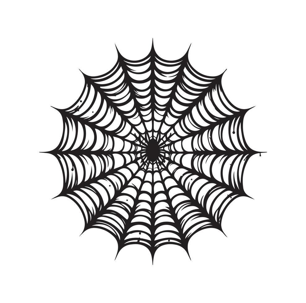 spider web illustration vector