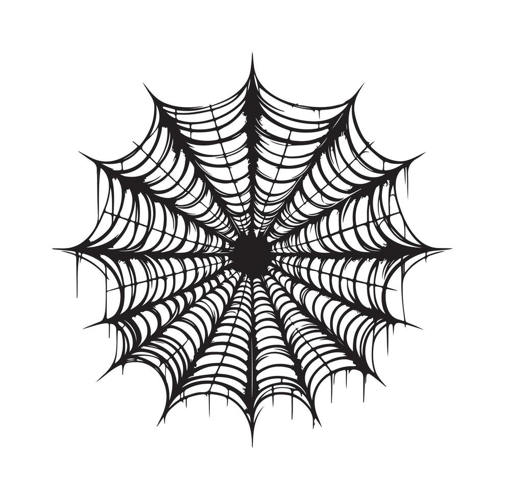 spider web illustration vector