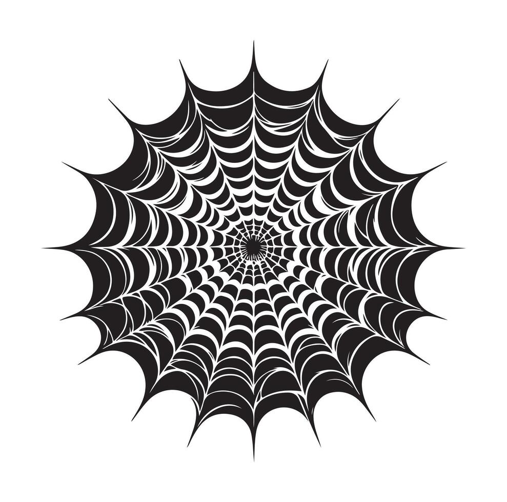 spider web illustration vector