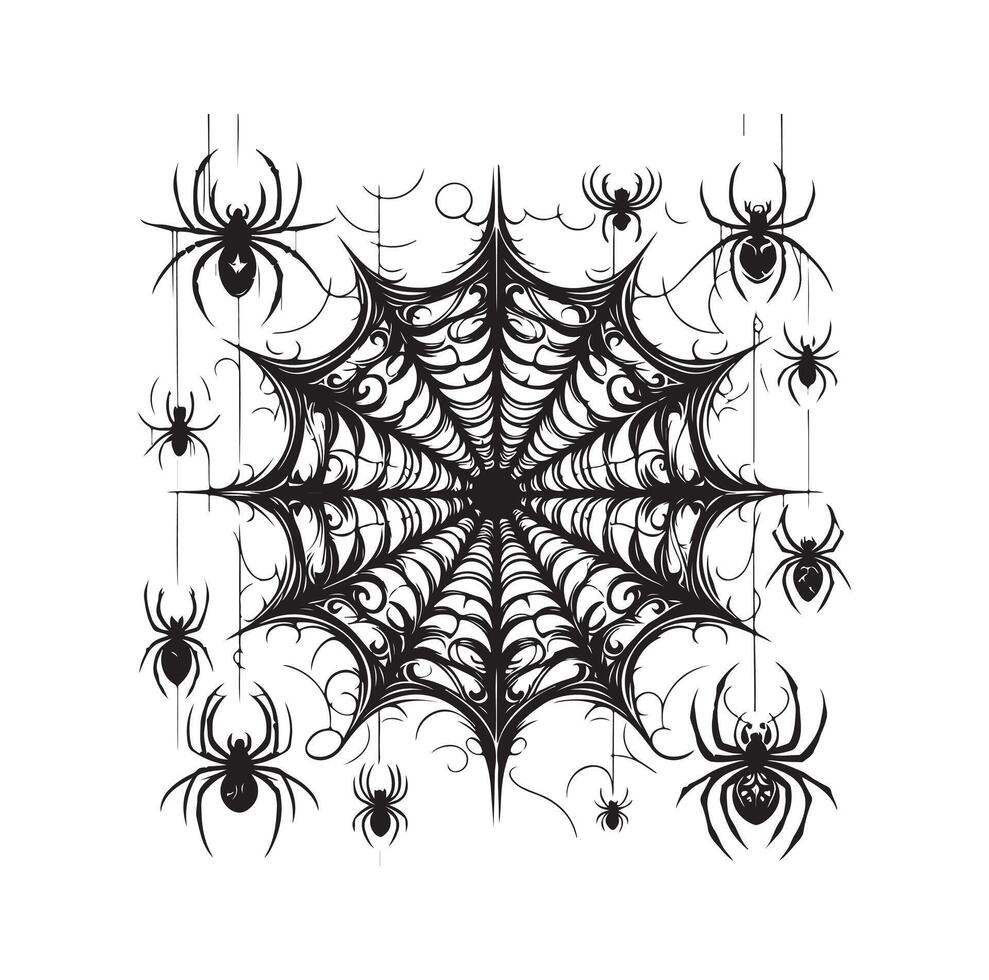 spider web illustration vector
