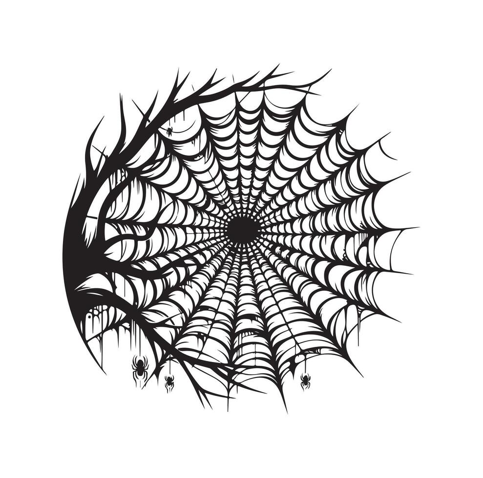 spider web illustration vector
