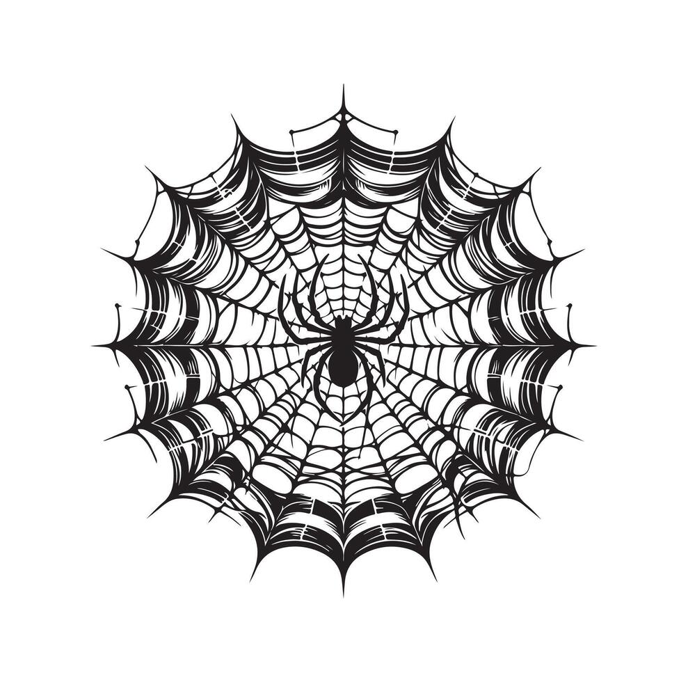 spider web illustration vector