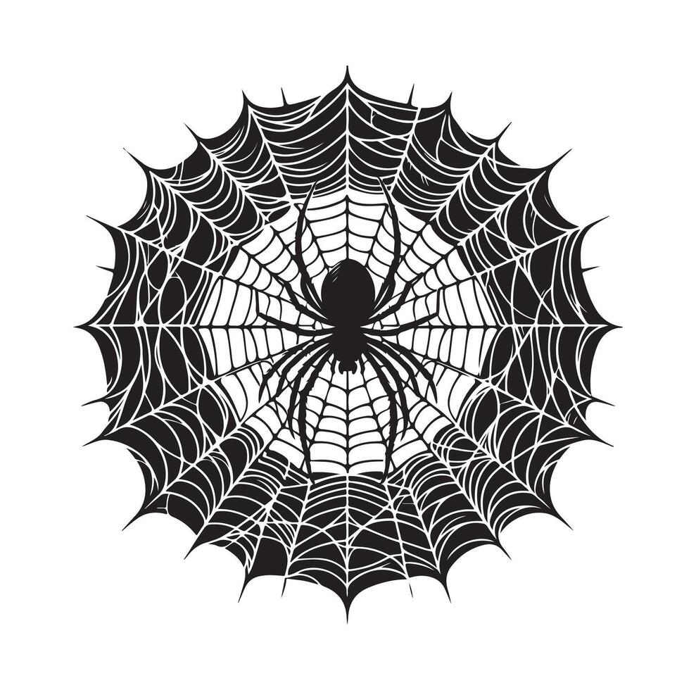 spider web illustration vector