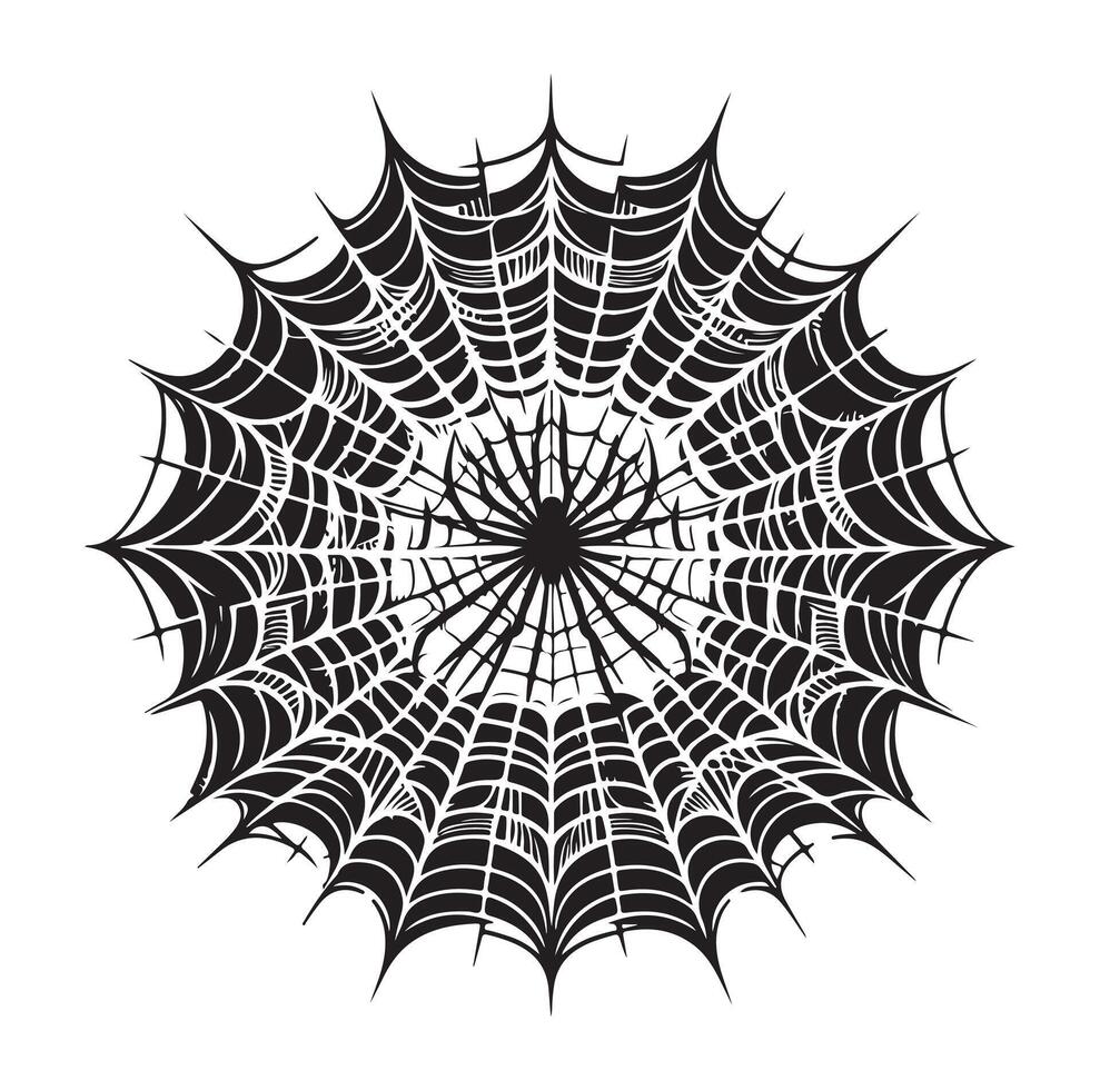 spider web illustration vector
