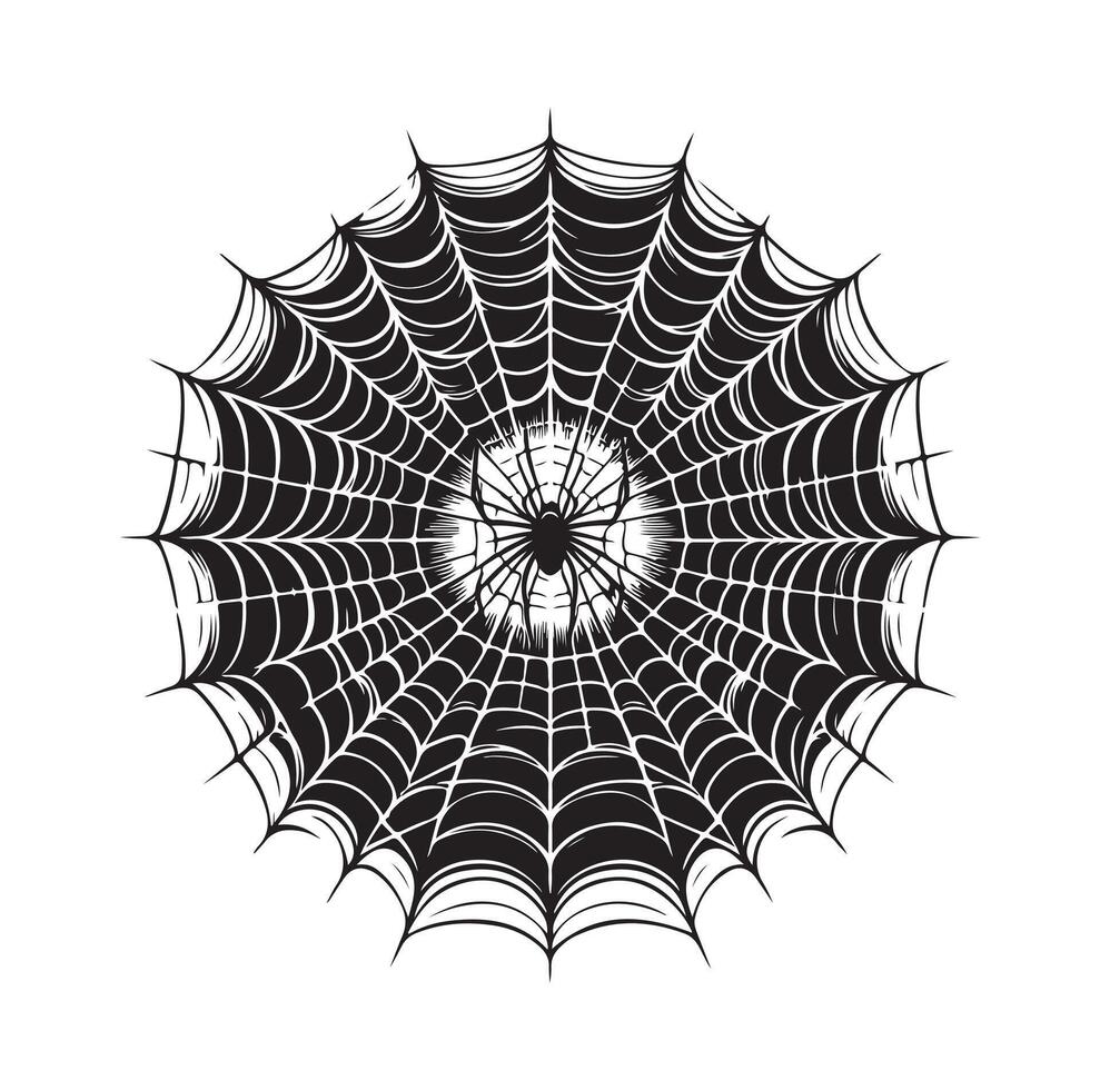 spider web illustration vector