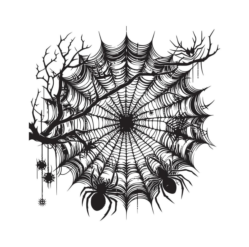 spider web illustration vector