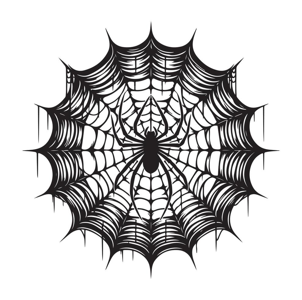 spider web illustration vector