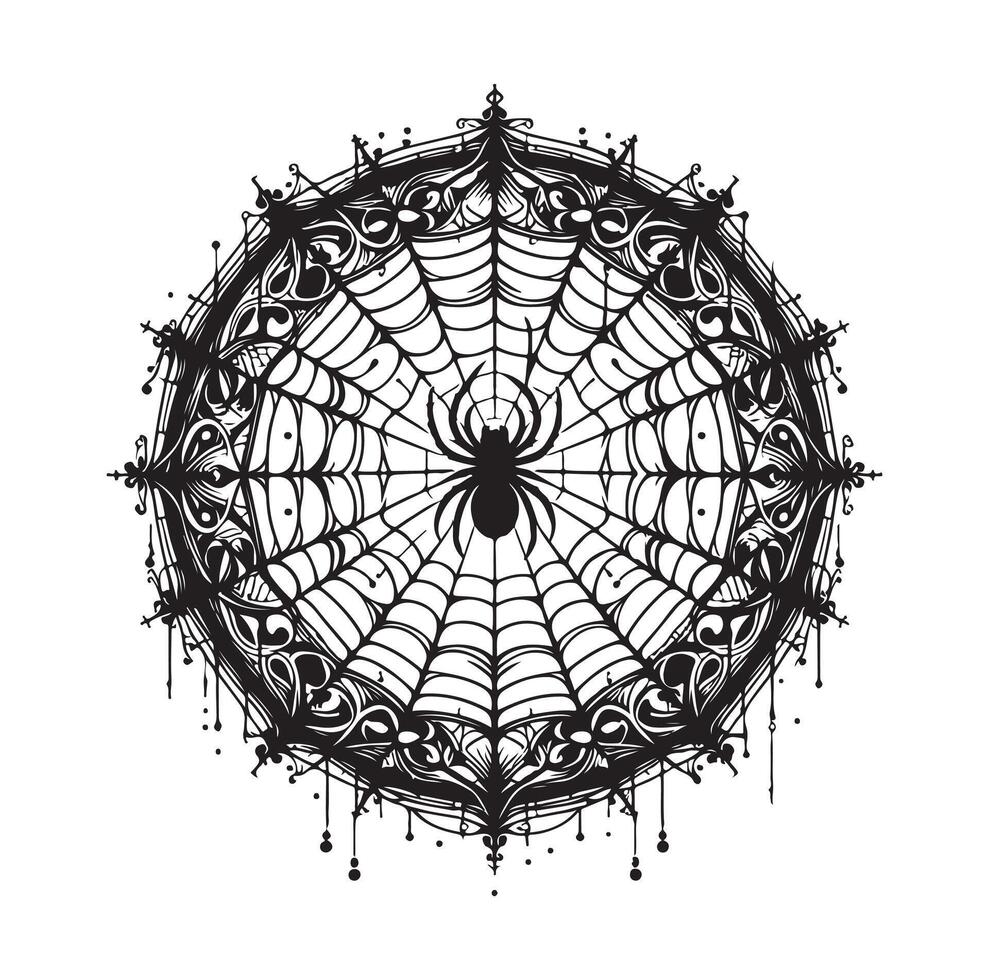 spider web illustration vector