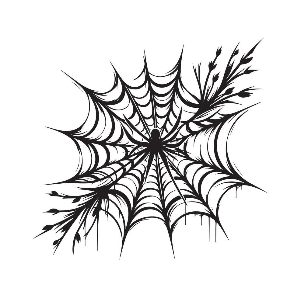 spider web illustration vector