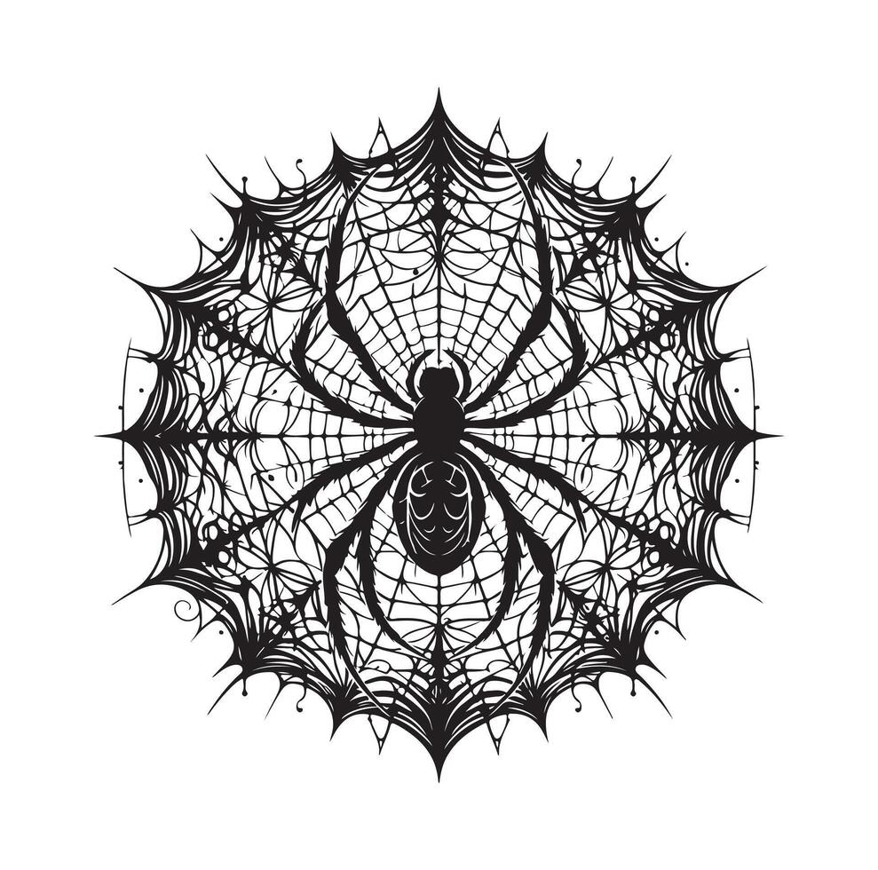 spider web illustration vector