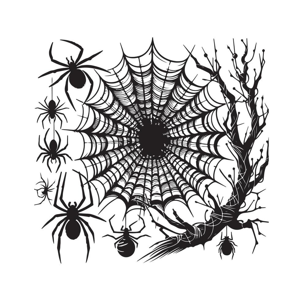 spider web illustration vector
