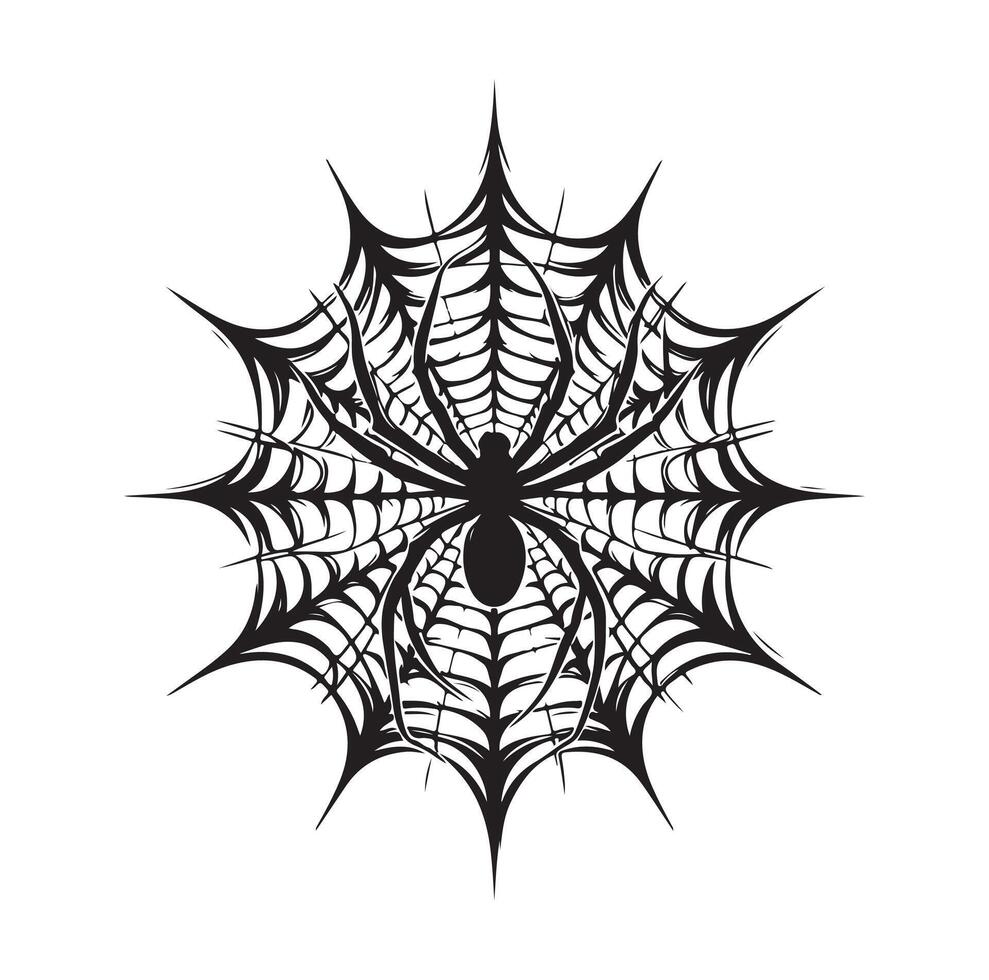 spider web illustration vector