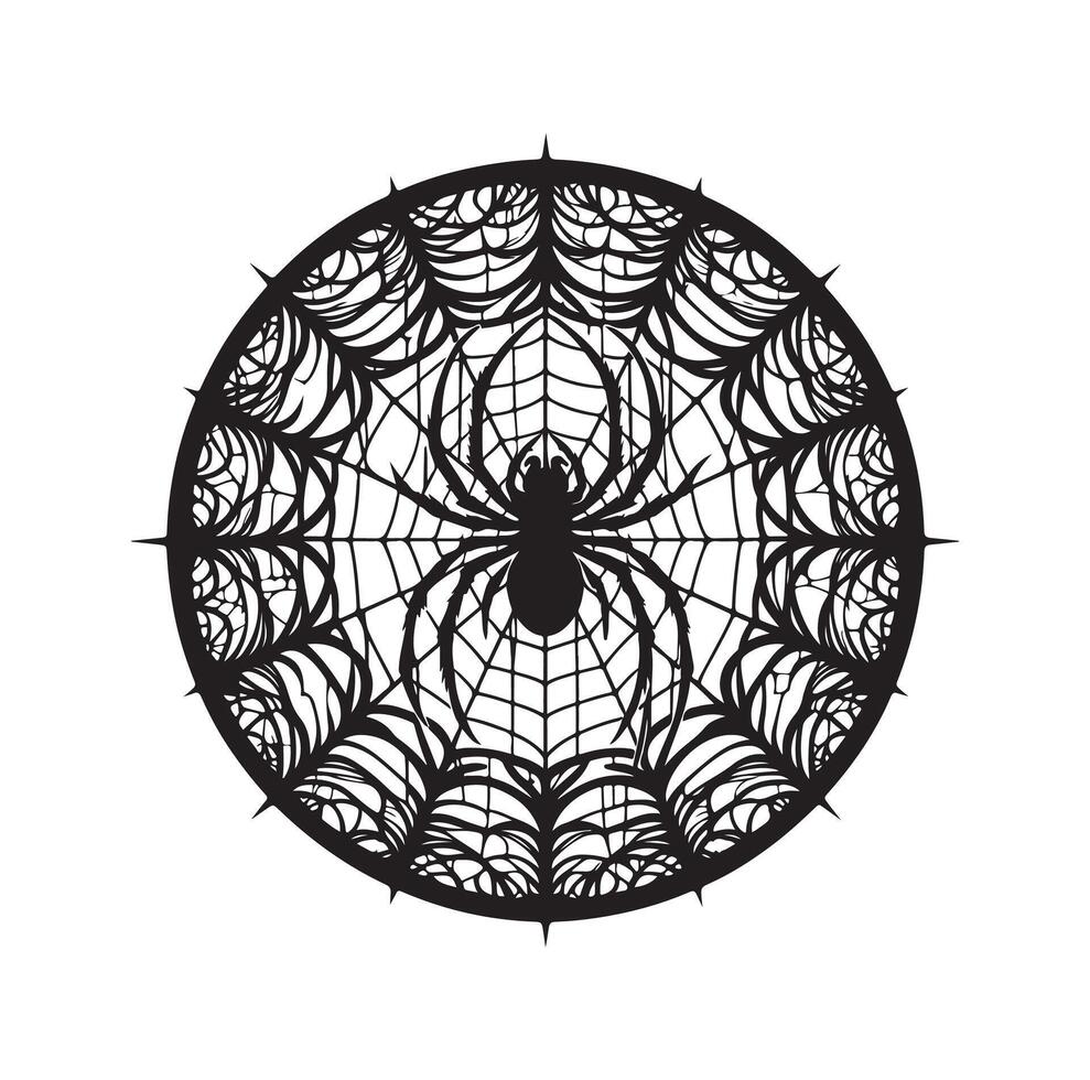 spider web illustration vector