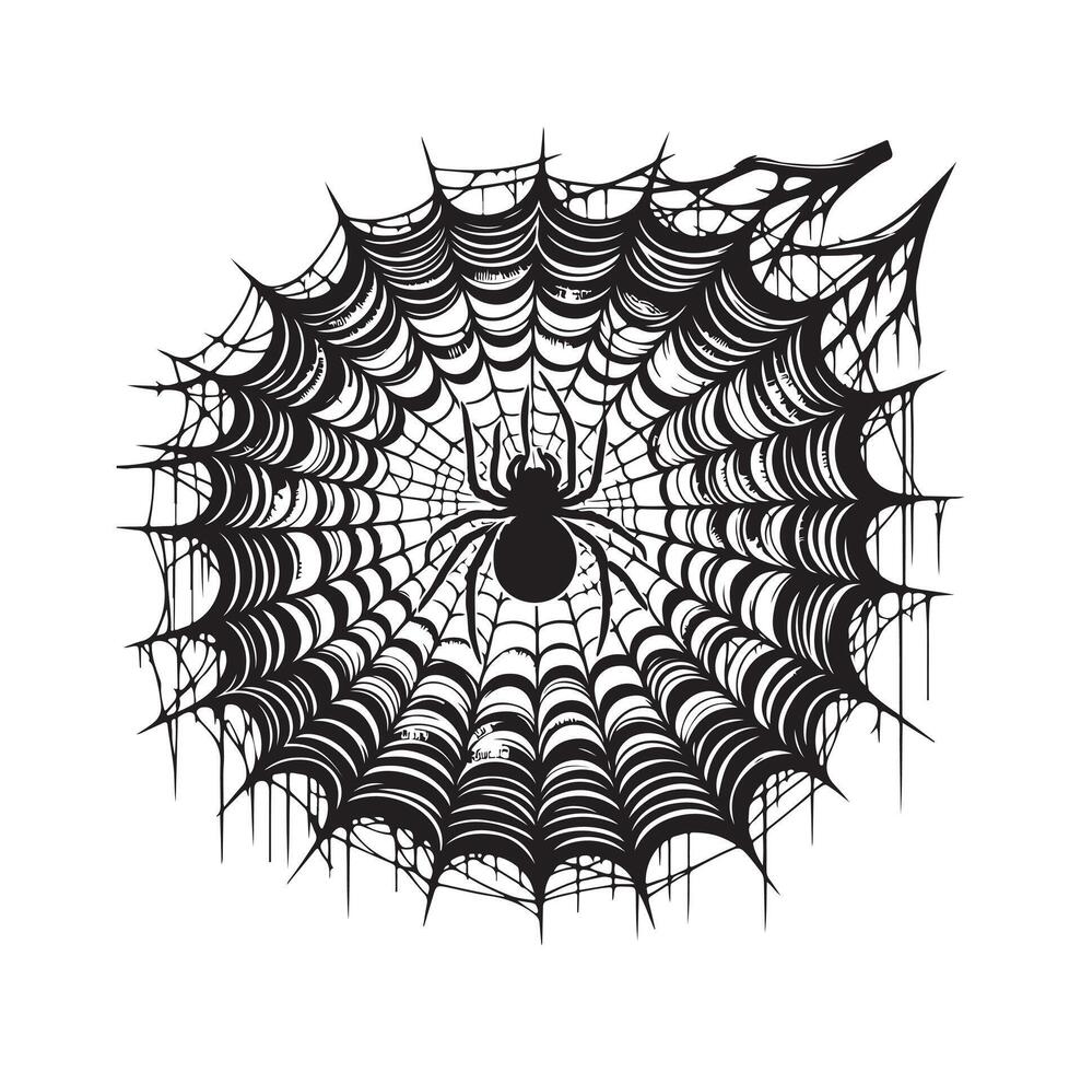 spider web illustration vector