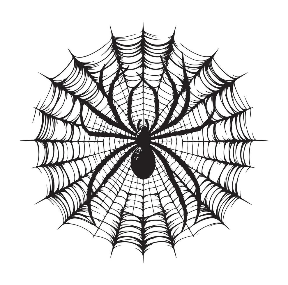 spider web illustration vector
