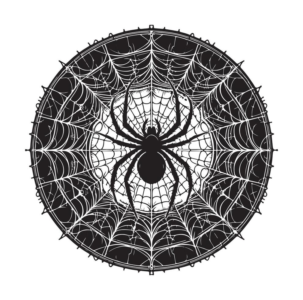 spider web illustration vector