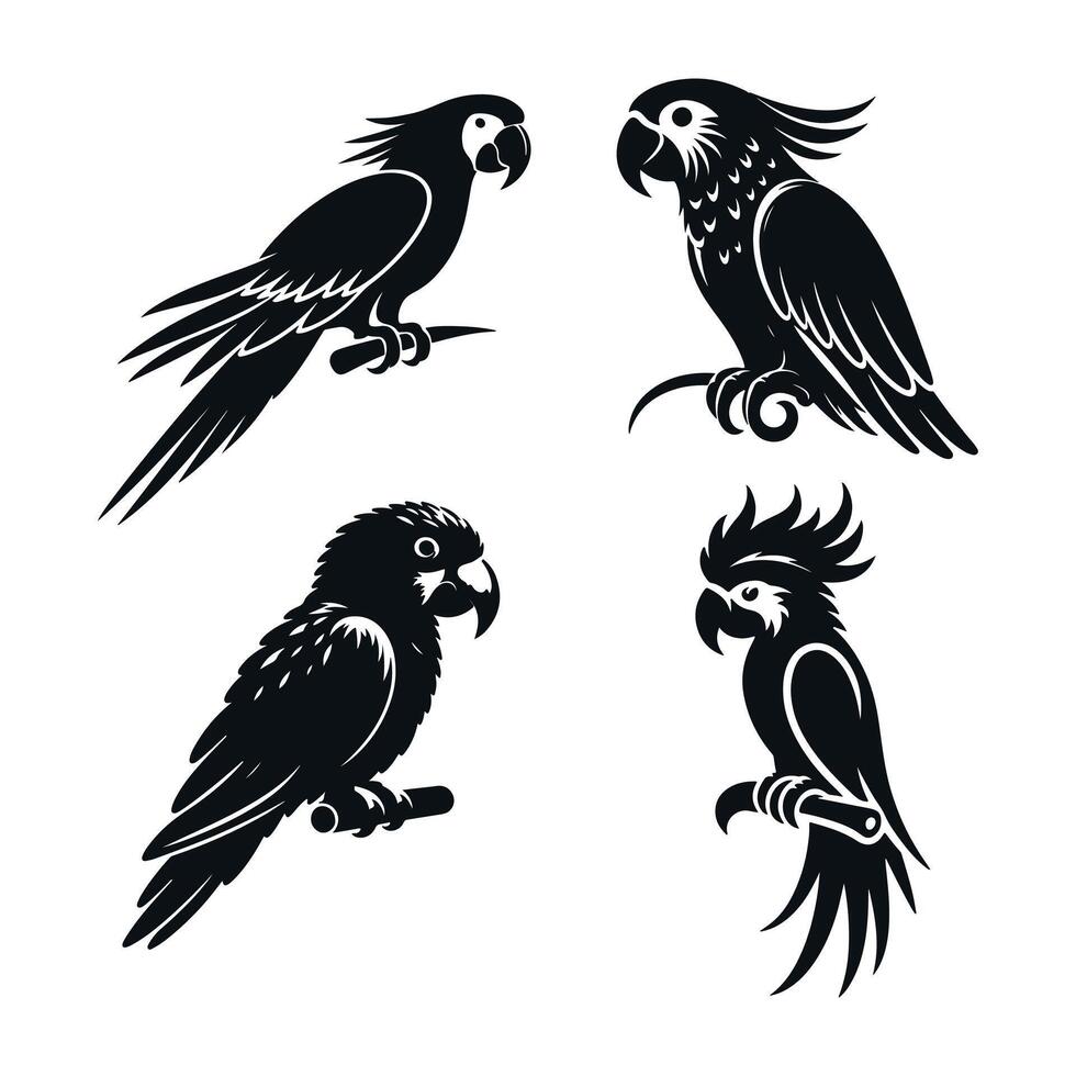 Parrot vectors silhouette
