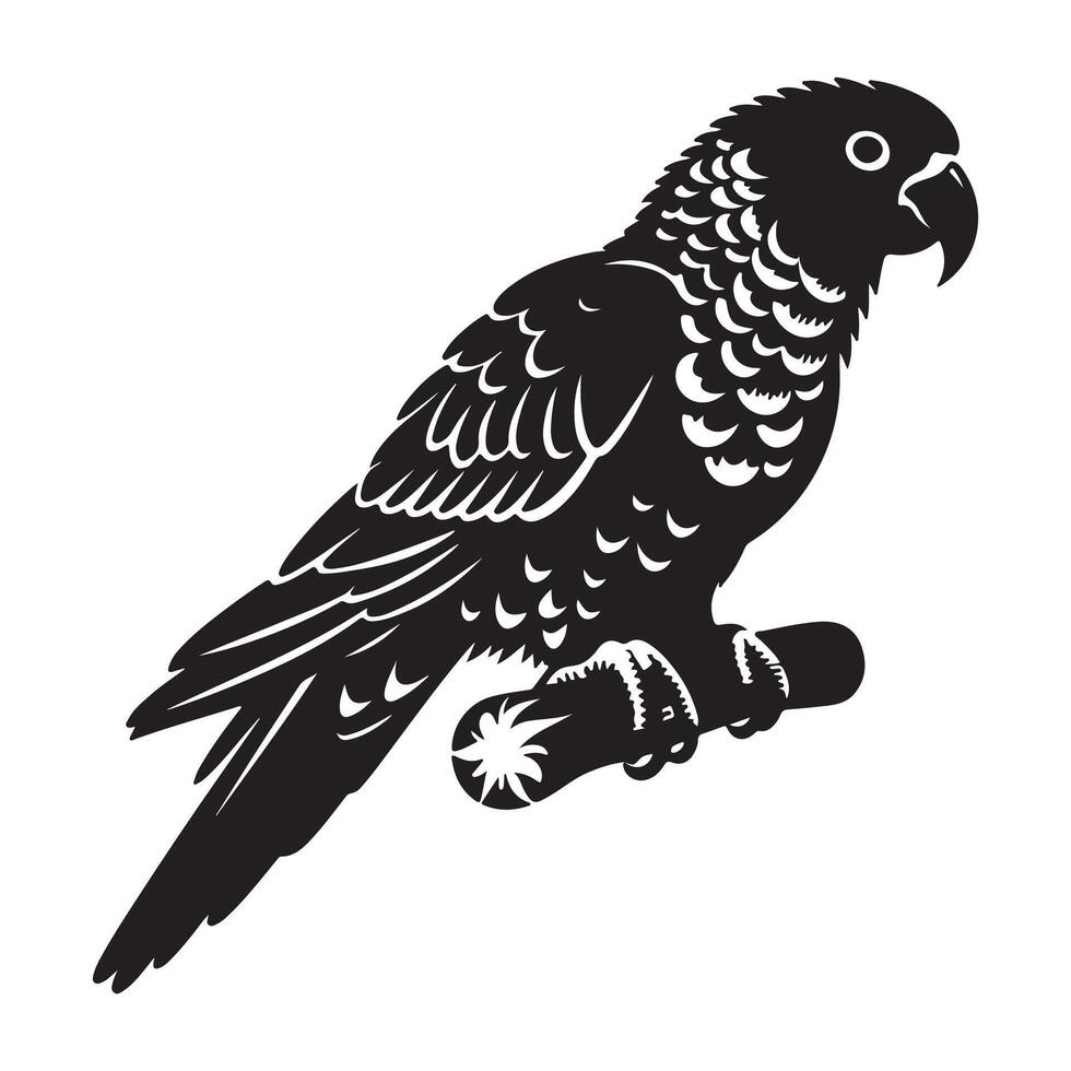 Parrot vectors silhouette