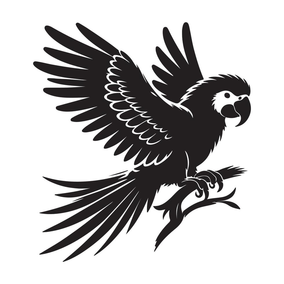 Parrot vectors silhouette