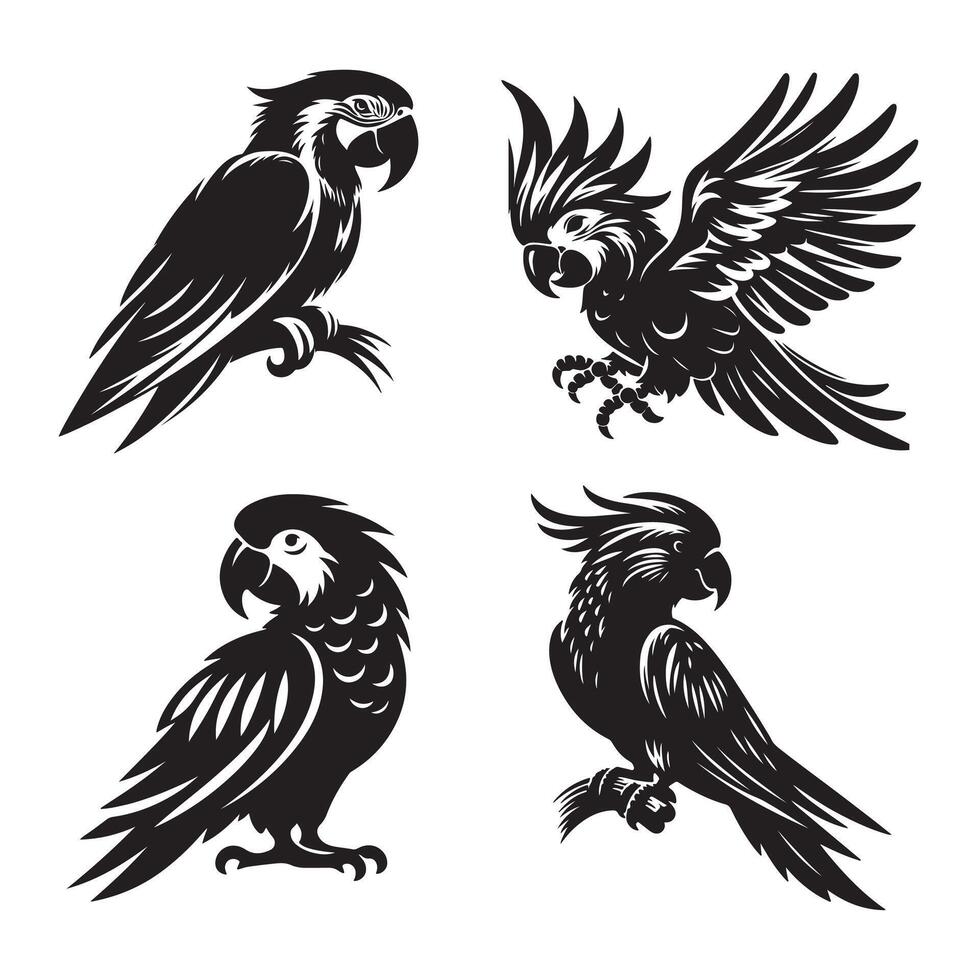 Parrot vectors silhouette