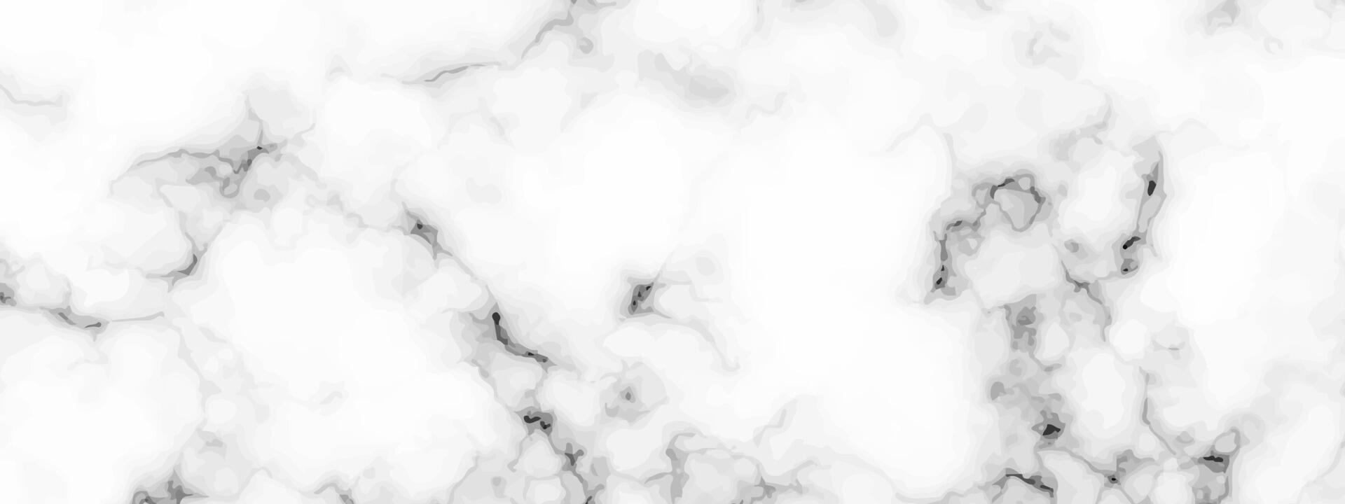 White marble texture background vector